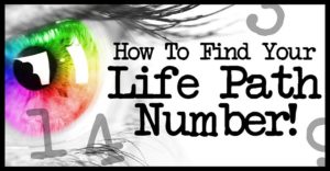 life path number